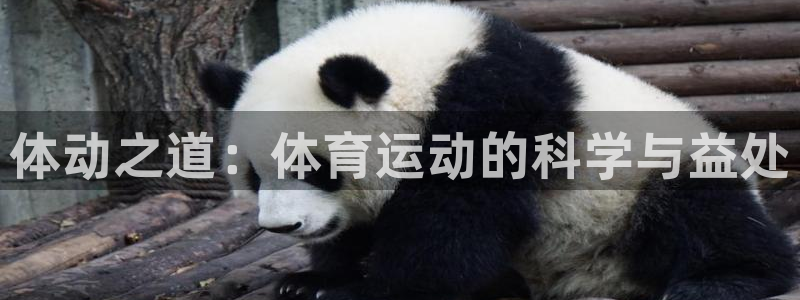 尊龙官网下载平台注册要钱吗安全吗：体动之道：体育运动