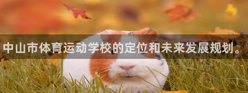 尊龙官网下载平台：中山市体育运动学校的定位和未来发展