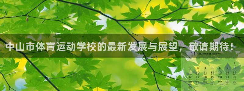 尊龙官方正版app娱乐首页官网下载：中山市体育运动学