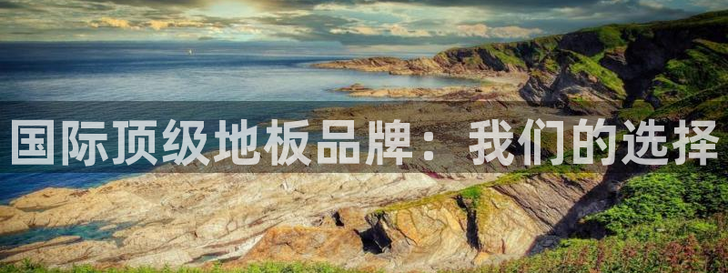尊龙官网下载招商电话：国际顶级地板品牌：我们的选择