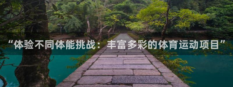 尊龙官网下载娱乐：“体验不同体能挑战：丰富多彩的体育运动项目
