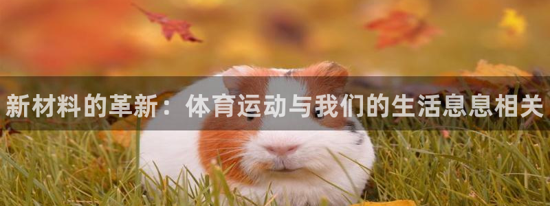 尊龙官方正版app集团官网首页：新材料的革新：体育运