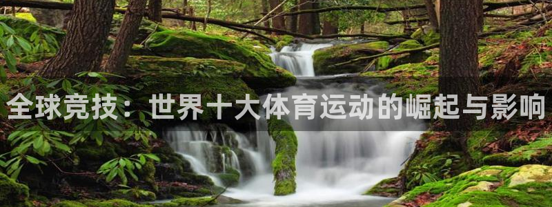 尊龙官方正版app开户：全球竞技：世界十大体育运动的