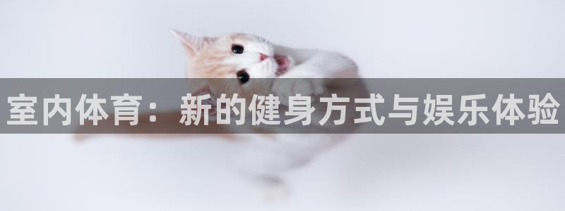 尊龙官网下载开户：室内体育：新的健身方式与娱乐体验