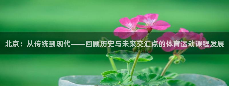 尊龙官网下载平台注册要钱吗：北京：从传统到现代——回顾历史与