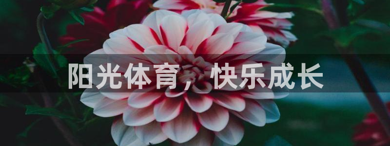 尊龙官网下载开户