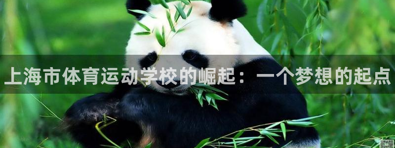 尊龙官网下载官方客服电话：上海市体育运动学校的崛起：一个梦想
