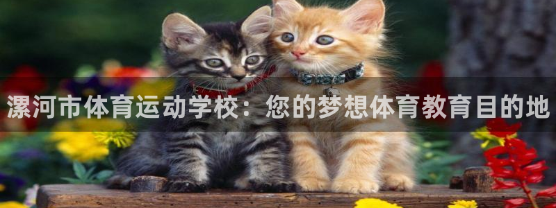 尊龙官网下载平台注册流程视频：漯河市体育运动学校：您的梦想体