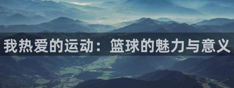 尊龙官方正版app集团logo