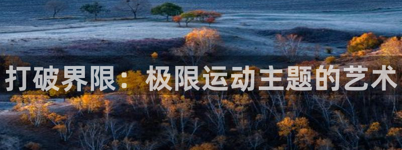 尊龙官网下载招商电话是多少号码：打破界限：极限运动主题的艺术