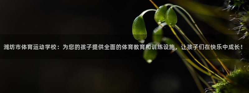 尊龙官网下载平台假的吗是真的吗吗：潍坊市体育运动学校
