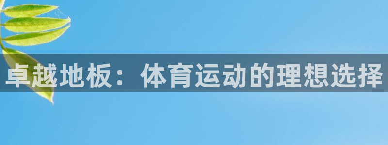尊龙官网下载软件：卓越地板：体育运动的理想选择