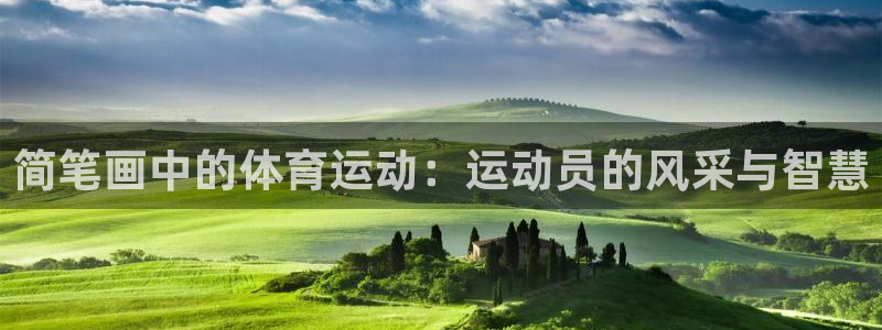 尊龙官网下载：简笔画中的体育运动：运动员的风采与智慧