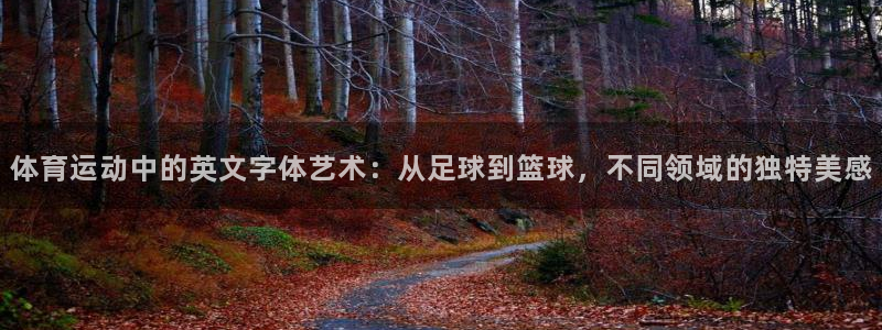 海南尊龙官网下载发展怎么样：体育运动中的英文字体艺术：从足球