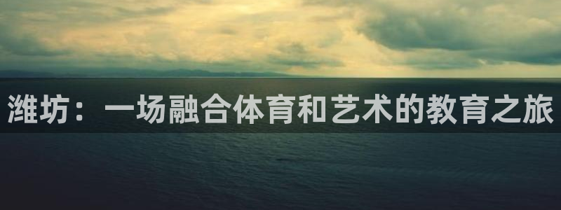尊龙官网下载招商：潍坊：一场融合体育和艺术的教育之旅