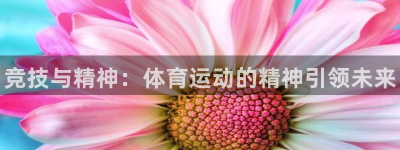 尊龙官方正版app科技：竞技与精神：体育运动的精神引领未来