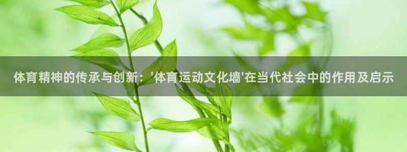 尊龙官网下载招商电话号码查询是多少：体育精神的传承与创新：\