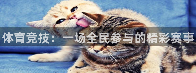 尊龙官方正版app娱乐下载：体育竞技：一场全民参与的精彩赛事