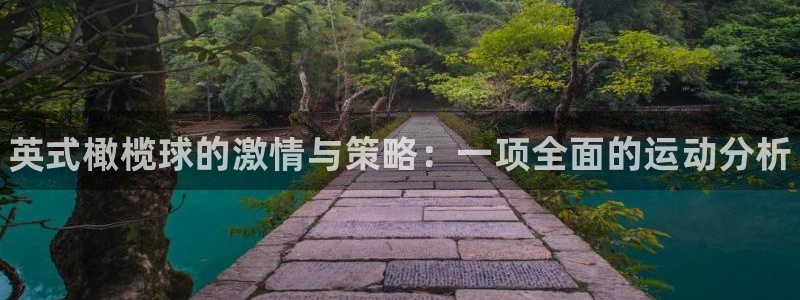 海南尊龙官网下载发展怎么样：英式橄榄球的激情与策略：一项全面