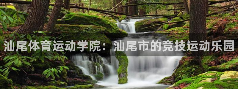 尊龙官网下载平台注册流程视频：汕尾体育运动学院：汕尾