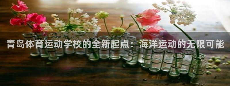 海南尊龙官网下载发展怎么样：青岛体育运动学校的全新起