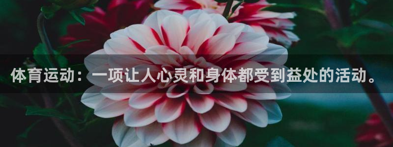 海南尊龙官网下载：体育运动：一项让人心灵和身体都受到