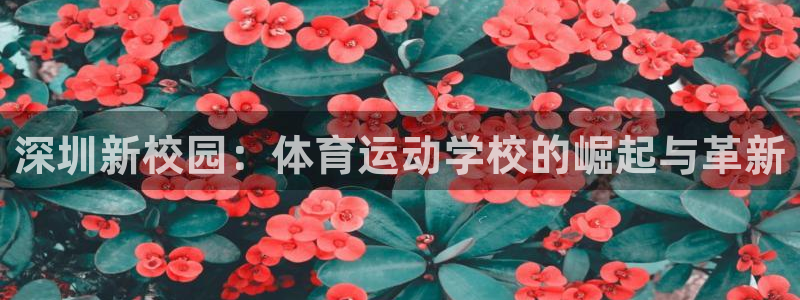 尊龙官方正版app娱乐是那个系列的台子
