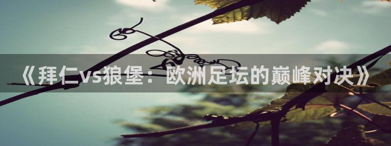 袋鼠直播体育发布v14版本.一键得好礼.org：《拜仁vs狼堡：欧洲足坛的巅峰对决》