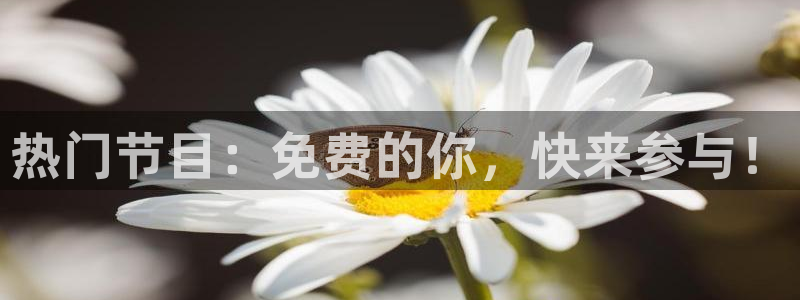袋鼠直播体育直播：热门节目：免费的你，快来参与！