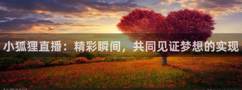 袋鼠体育直播官网：小狐狸直播：精彩瞬间，共同见证梦想的实现