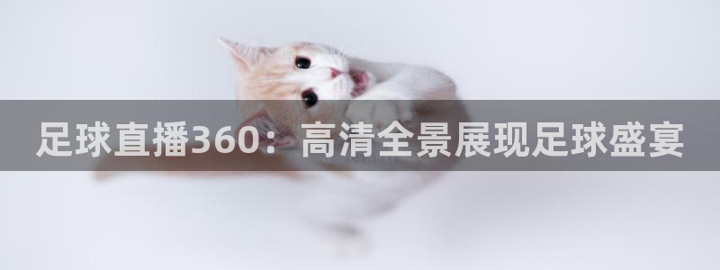 袋鼠体育直播在线观看：足球直播360：高清全景展现足球盛宴