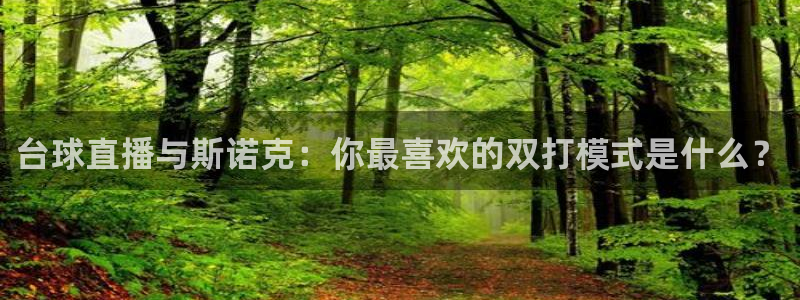 袋鼠直播nba免费观看篮球：台球直播与斯诺克：你最喜欢的双打模式是什么？