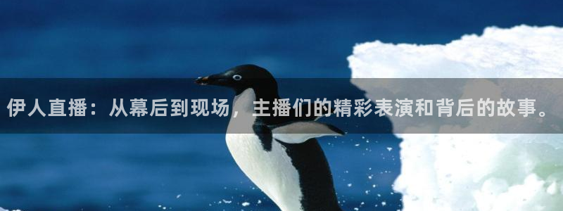 袋鼠直播体育在线：伊人直播：从幕后到现场，主播们的精彩表演和背后的故事。