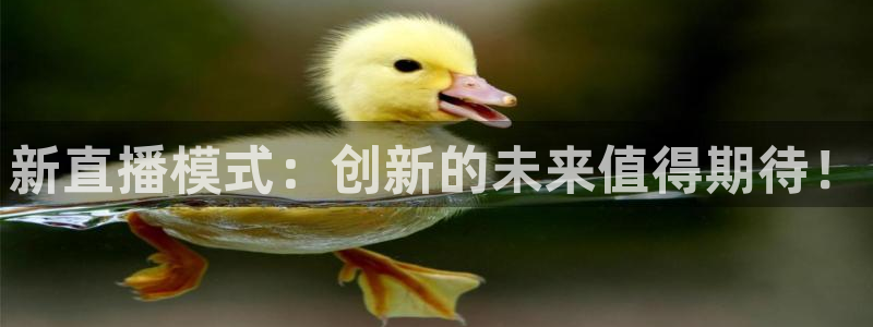 袋鼠直播在线观看