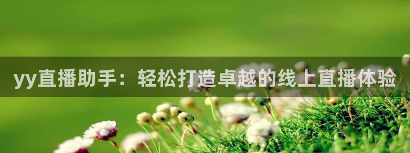 袋鼠直播足球