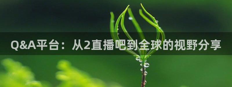 袋鼠足球免费直播：Q&A平台：从2直播吧到全球的视野分享