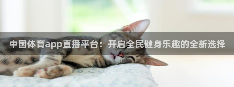 nba袋鼠直播在线观看